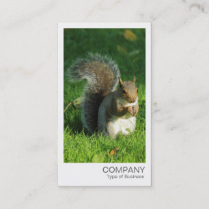 Instant foto - Grijze eekhoorn eten noten Visitekaartje