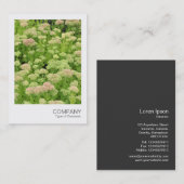 Instant Photo 058 - Sedum (herfst Joy) Visitekaartje (Voorkant / Achterkant)