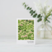 Instant Photo 058 - Sedum (herfst Joy) Visitekaartje (Staand voorkant)