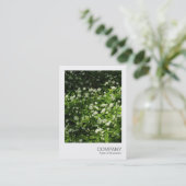 Instant Photo 071 - Wilde knoflook Visitekaartje (Staand voorkant)