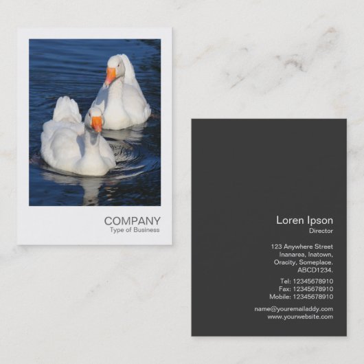 Instant Photo 075 - Two Emden Gese Visitekaartje (Voorkant / Achterkant)