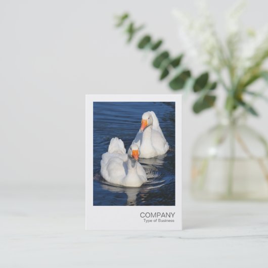 Instant Photo 075 - Two Emden Gese Visitekaartje (Staand voorkant)