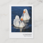 Instant Photo 075 - Two Emden Gese Visitekaartje (Voorkant)