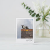 Instant Photo 082 - Goedemorgen Duif Visitekaartje (Staand voorkant)