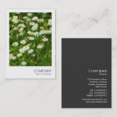 Instant Photo 091 - Daisy Meadow Visitekaartje (Voorkant / Achterkant)
