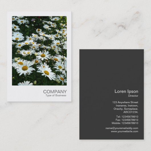 Instant Photo 09 - Shasta Daisy Visitekaartje (Voorkant / Achterkant)