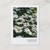 Instant Photo 09 - Shasta Daisy Visitekaartje (Voorkant)