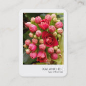 Instant Photo - Kalanchoë bloemen en knoppen Visitekaartje (Voorkant)