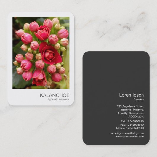 Instant Photo - Kalanchoë bloemen en knoppen Visitekaartje (Voorkant / Achterkant)