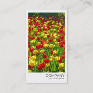 Instant Photo - rode en gele tulpen Visitekaartje