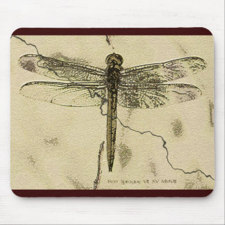 Instellen in steen muismat