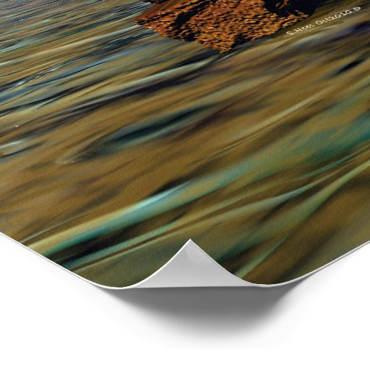 Instellen in steen poster (Hoek)