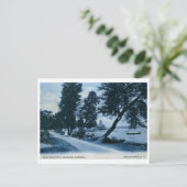 Instelling, Chautauqua, NY Vintage Briefkaart (Staand voorkant)