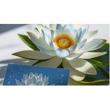 Instructeur voor JONGE Meditatie Loyalty Punch Lot