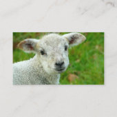 Instructeur voor lamsvlees visitekaartje (Achterkant)