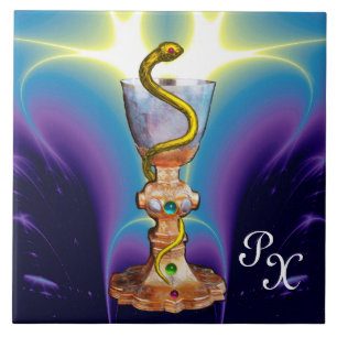 INSTRUCTIES VOOR GEBRUIK TEGELTJE