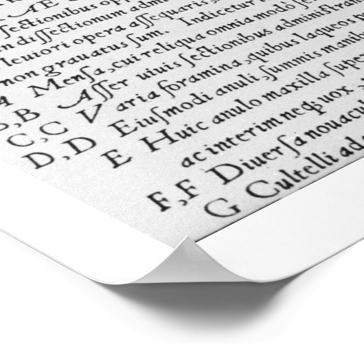 Instrumenten voor versnijding, illustratie van "De Poster (Hoek)