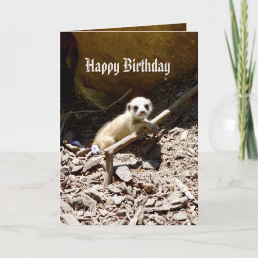Insy Winsy Baby Meerkat, Birthday Kaart (Voorkant)