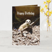 Insy Winsy Baby Meerkat, Birthday Kaart (Gele Bloem)