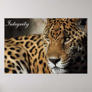 Integriteit Poster