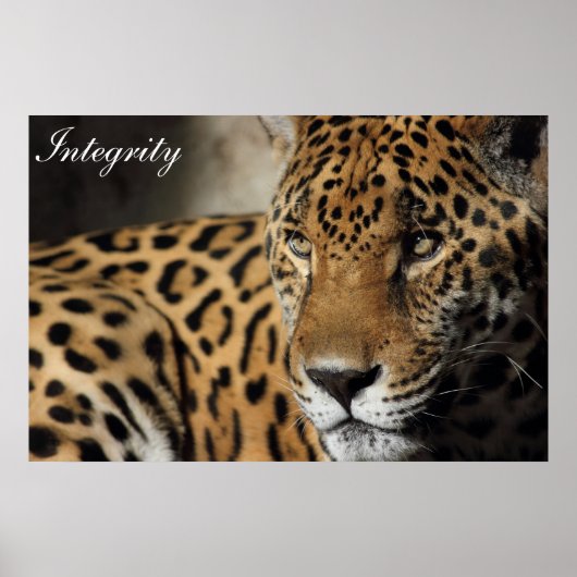 Integriteit Poster (Voorkant)