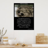 INTEGRITEIT wolf met zijn tanden uit Poster (Keuken)