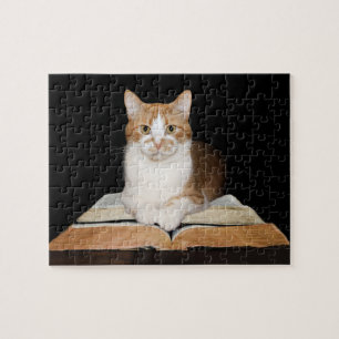 Intellectuele kat legpuzzel