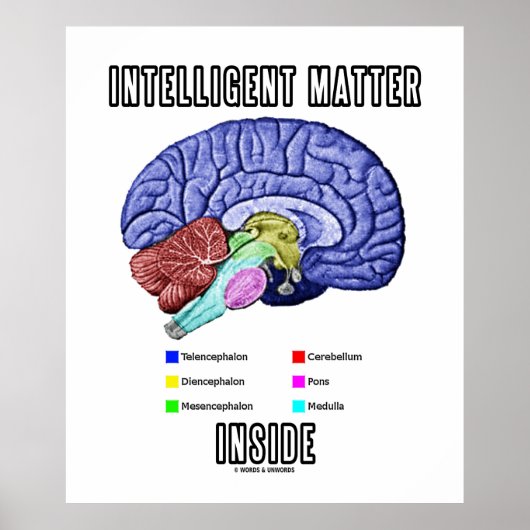 Intelligente materie binnenin (Humor van de anatom Poster (Voorkant)