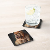 Intelligente Shar Pei hond met boekontwerp Bier Onderzetter (Rechterzijde)