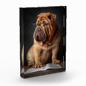Intelligente Shar Pei hond met boekontwerp Fotoblokken (Links)