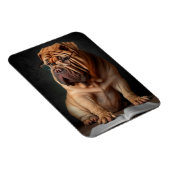 Intelligente Shar Pei hond met boekontwerp Magneet (Rechterzijde)