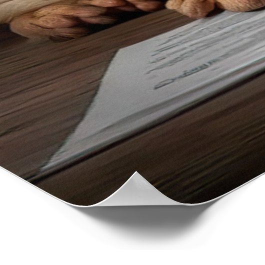 Intelligente Shar Pei hond met boekontwerp Poster (Hoek)