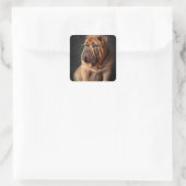 Intelligente Shar Pei hond met boekontwerp Vierkante Sticker (Tas)