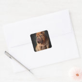 Intelligente Shar Pei hond met boekontwerp Vierkante Sticker (Envelop)