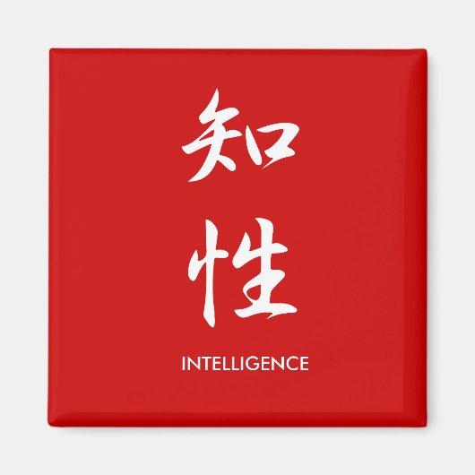 Intelligentie - Chisei Magneet (Voorkant)