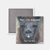 Intens zwart lama grappige dier magneet (Voorkant / Achterkant)