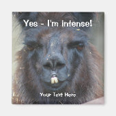 Intens zwart lama grappige dier magneet (Voorkant)