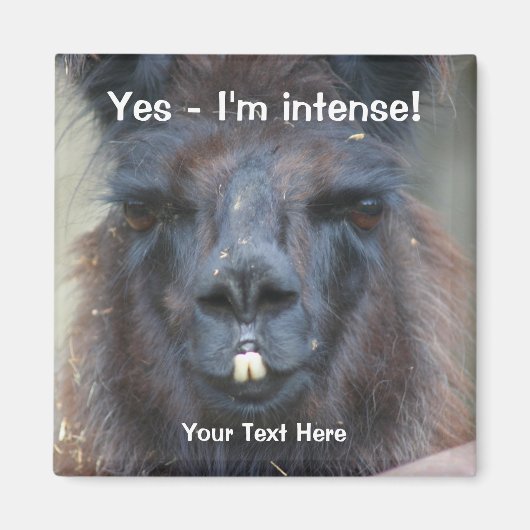 Intens zwart lama grappige dier magneet (Voorkant)