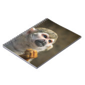 Intense aap notitieboek (Linkerzijde)