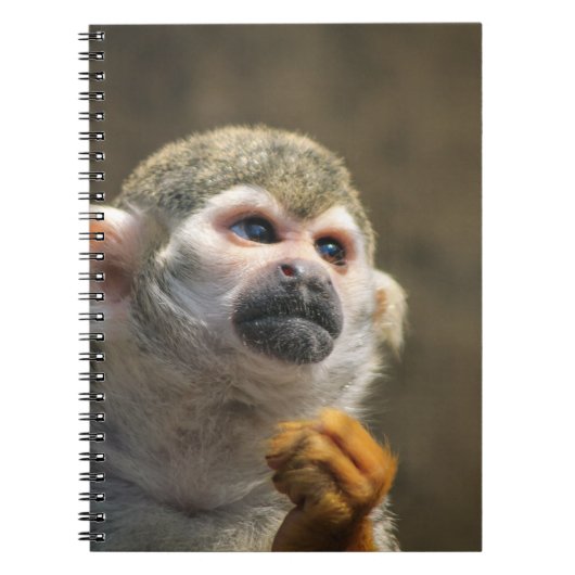 Intense aap notitieboek (Voorkant)
