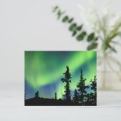 Intense Aurora borealis over zwarte spar taiga Briefkaart (Staand voorkant)