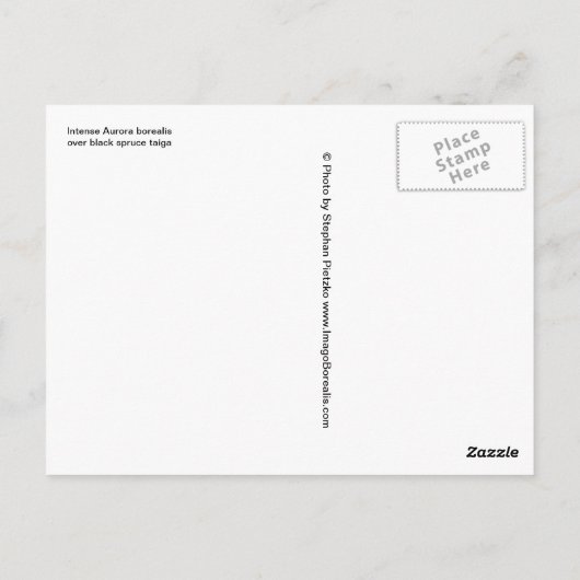 Intense Aurora borealis over zwarte spar taiga Briefkaart (Achterkant)