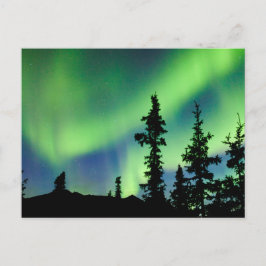 Intense Aurora borealis over zwarte spar taiga Briefkaart