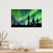 Intense Aurora borealis over zwarte spar taiga Poster (Keuken)
