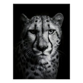 Intense Black and White Cheetah Portrait Perfect Poster (Voorkant)