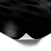 Intense Black and White Cheetah Portrait Perfect Poster (Hoek)