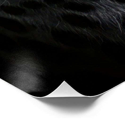 Intense Black and White Cheetah Portrait Perfect Poster (Hoek)