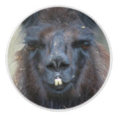 Intense Black Llama Face Sluiten Keramische Knop (Voorkant)