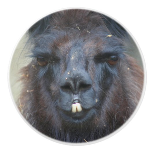 Intense Black Llama Face Sluiten Keramische Knop (Voorkant)