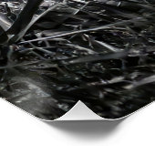  Intense Black & White King Cobra Fine Art Print | Perfect Poster (Hoek)